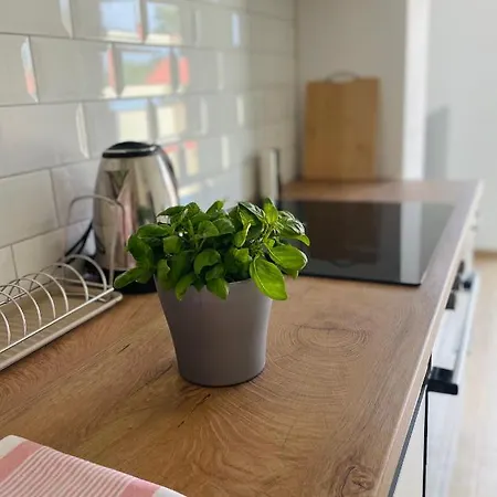 White Truffle Pula Apartman Marčana