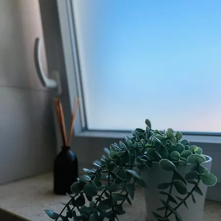 White Truffle Pula Apartman Marčana