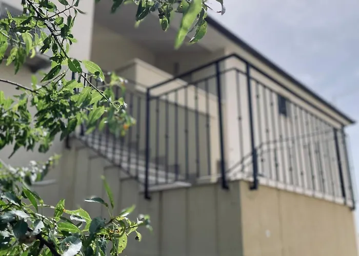 Daire White Truffle Pula