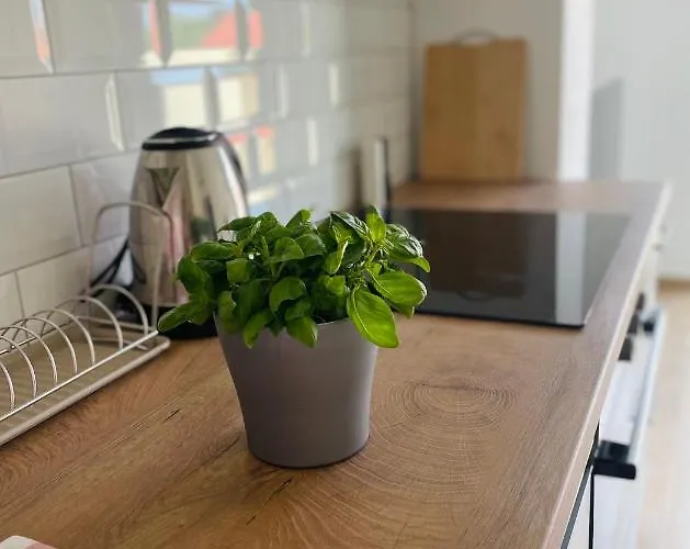 White Truffle Pula Apartman Marcana