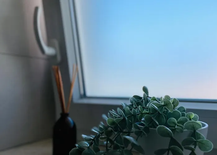 White Truffle Pula Apartman Marcana